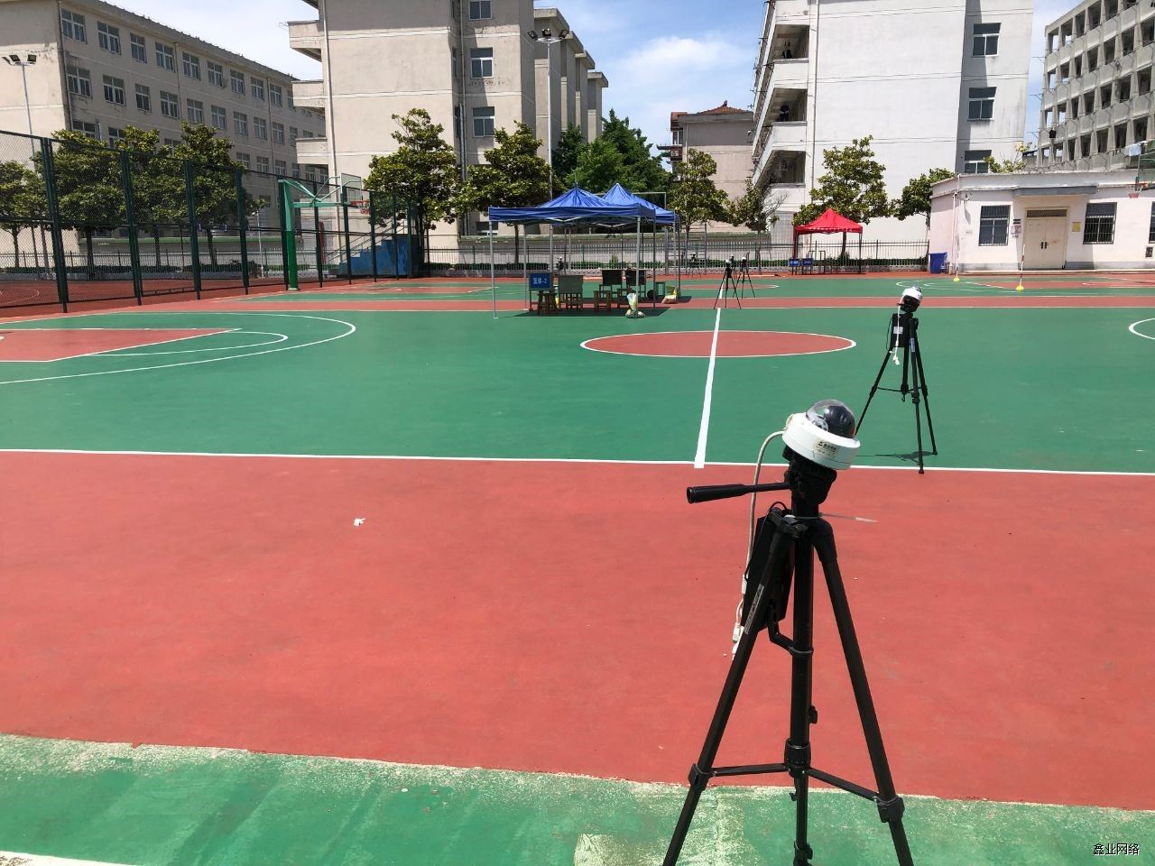 体育.jpg